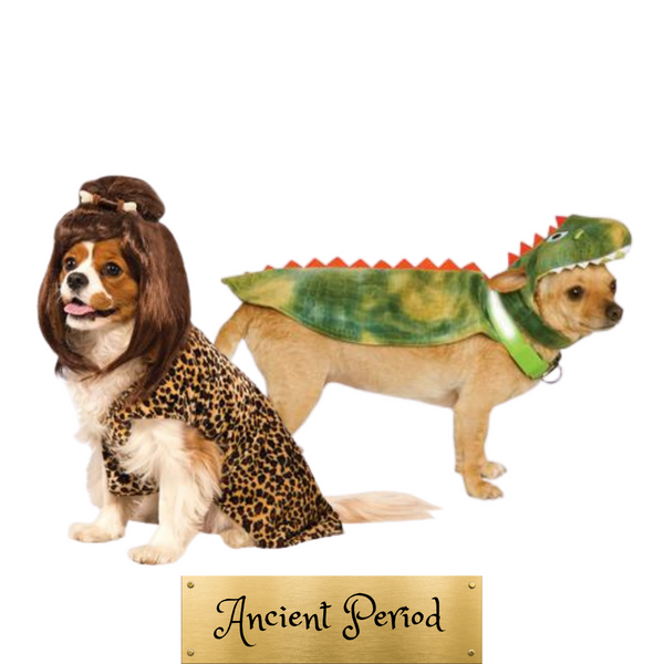 files/20th_Century_Vintage_Period_6.png
