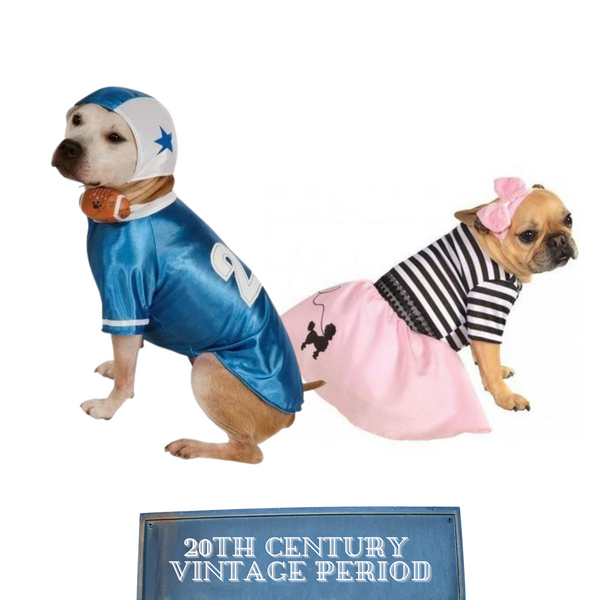 files/20th_Century_Vintage_Period_8.png
