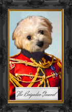 Load image into Gallery viewer, The Brigadier General
