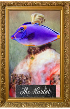 Load image into Gallery viewer, The Harlot
